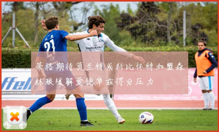 蒂格期待莫兰特或科比怀特加盟森林狼缓解爱德华兹得分压力
